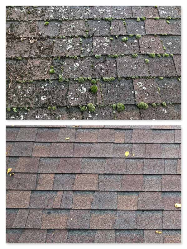 roof-cleaning-exterior-washing-grand-rapids-mi-mitten-exteriors